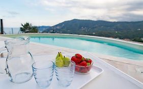 Villa Hanbury With Swimming Pool And Parking In Alassio